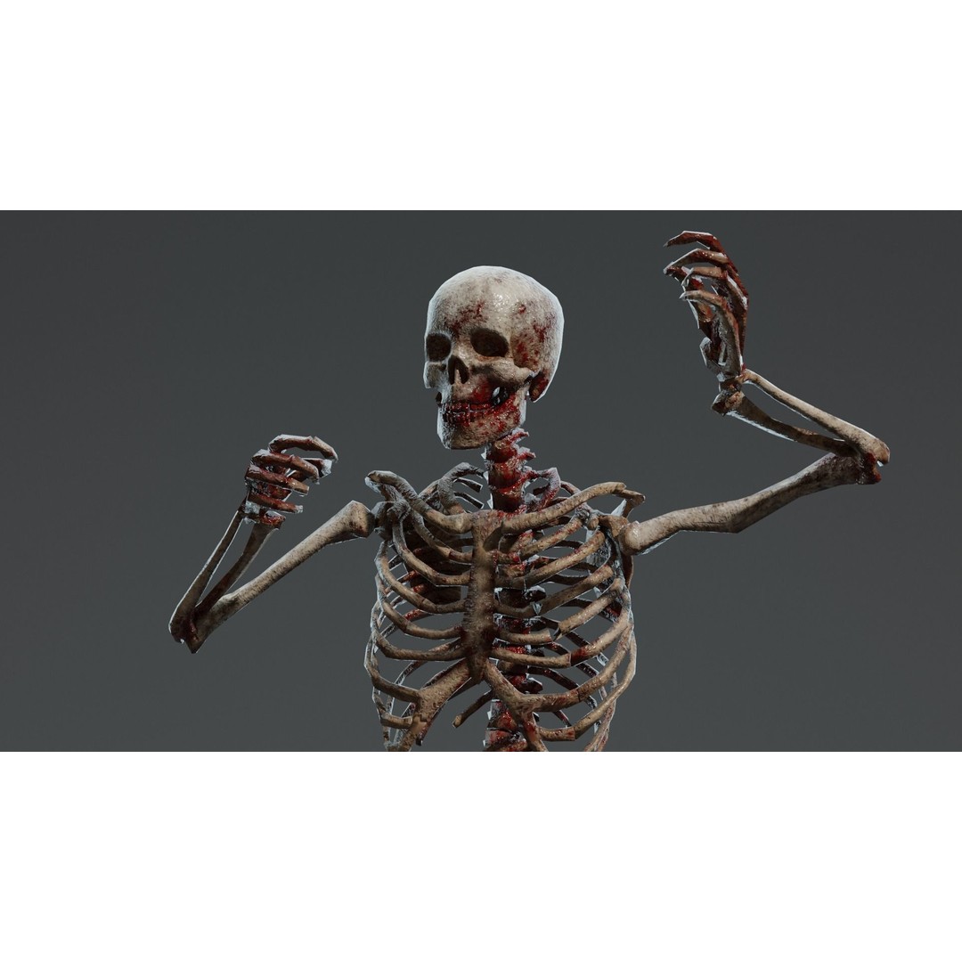 Human Skeleton 3D Model – Low Poly Game Asset, Rigged with PBR Textures - View 9