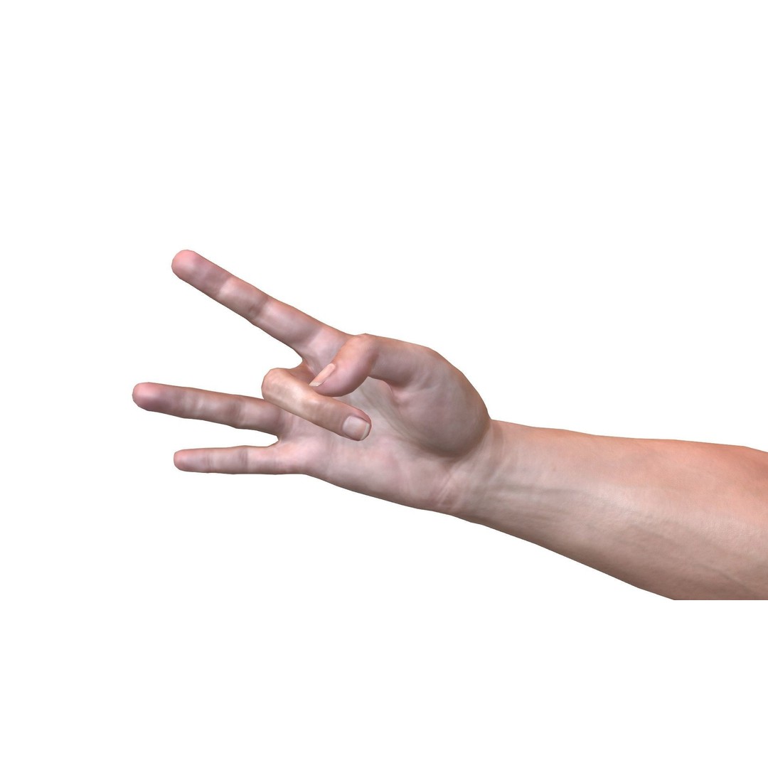 Male Hand 3D Model – Rigged Low Poly Asset for Animation, FBX - View 11
