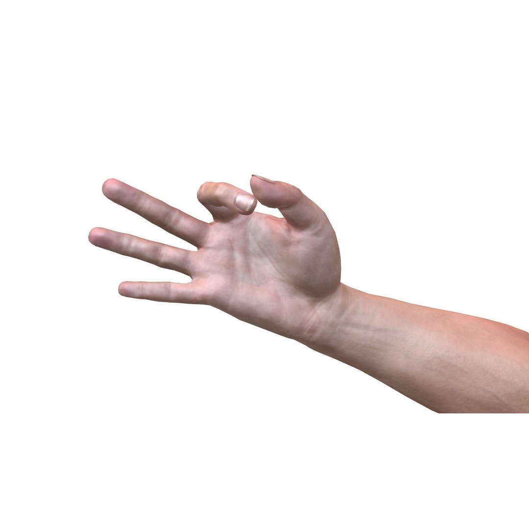 Male Hand 3D Model – Rigged Low Poly Asset for Animation, FBX - View 12