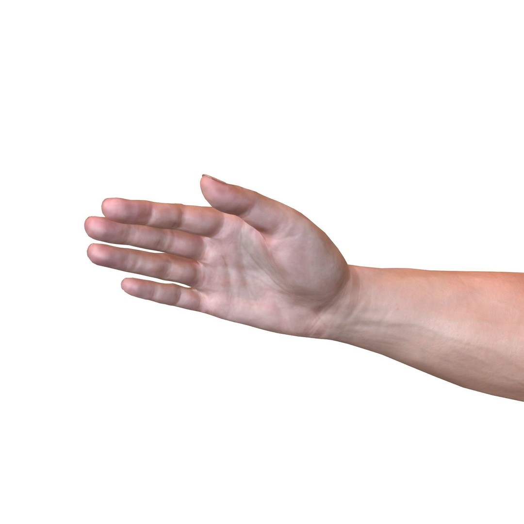 Male Hand 3D Model – Rigged Low Poly Asset for Animation, FBX - View 15