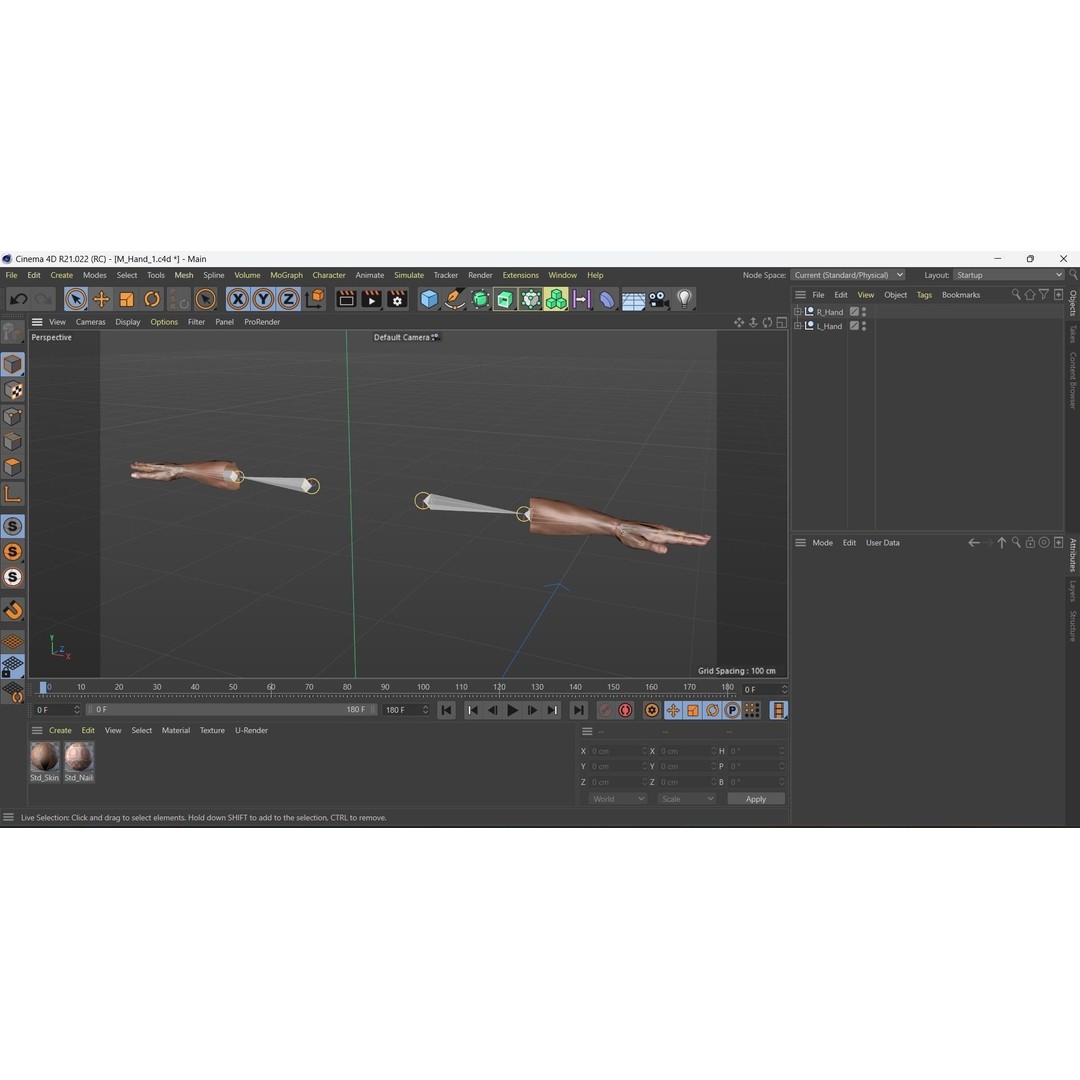Male Hand 3D Model – Rigged Low Poly Asset for Animation, FBX - View 18