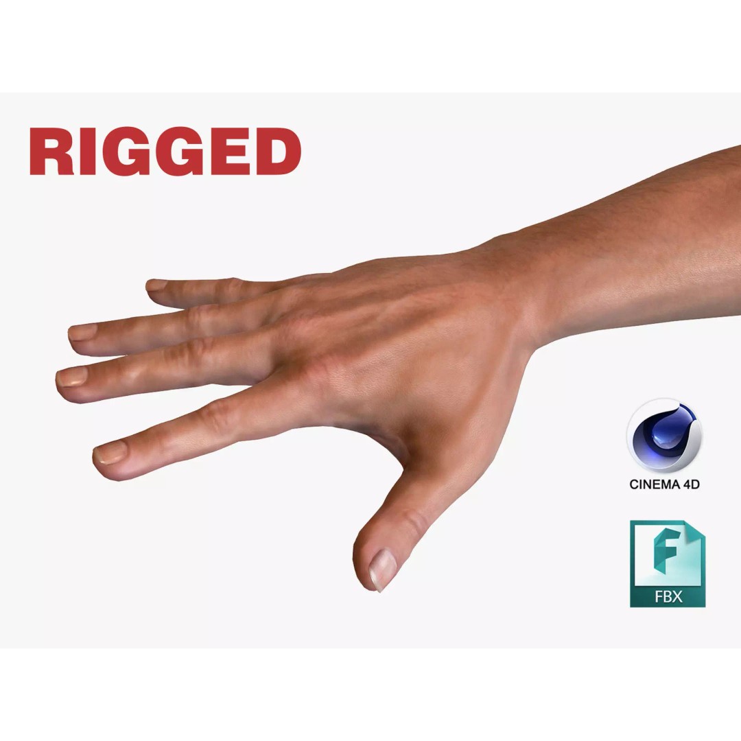 Male Hand 3D Model – Rigged Low Poly Asset for Animation, FBX - View 2