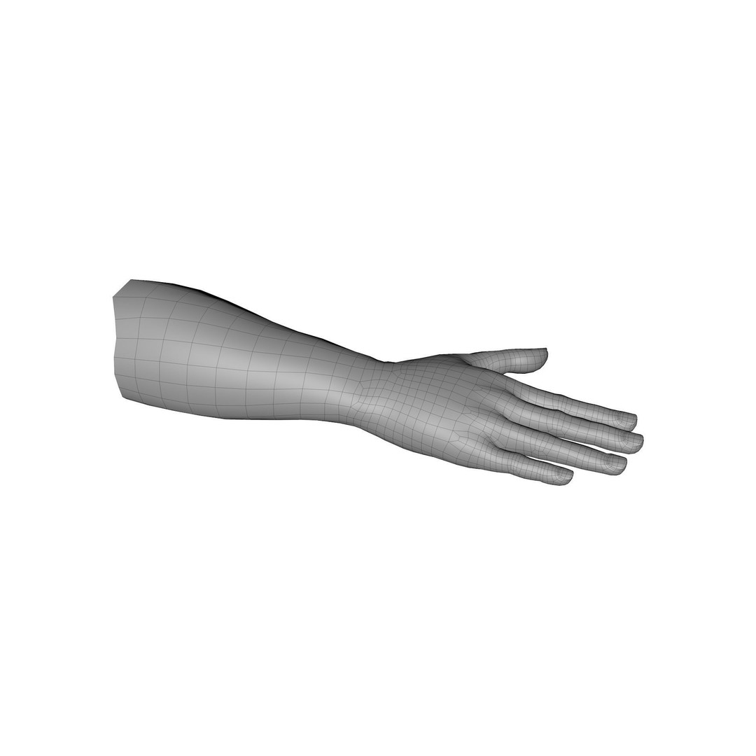 Male Hand 3D Model – Rigged Low Poly Asset for Animation, FBX - View 20