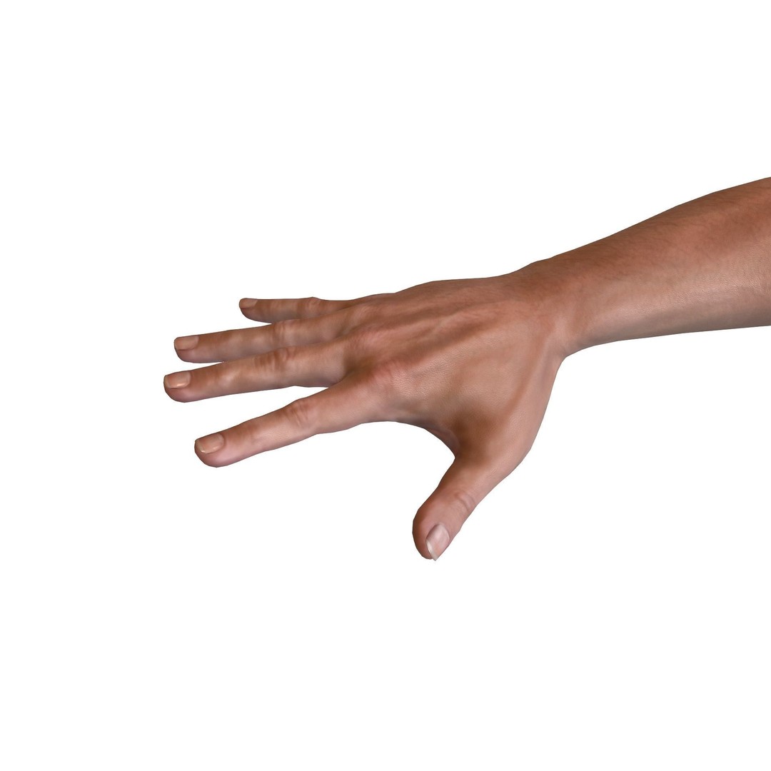 Male Hand 3D Model – Rigged Low Poly Asset for Animation, FBX - View 3