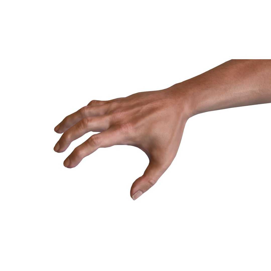 Male Hand 3D Model – Rigged Low Poly Asset for Animation, FBX - View 5