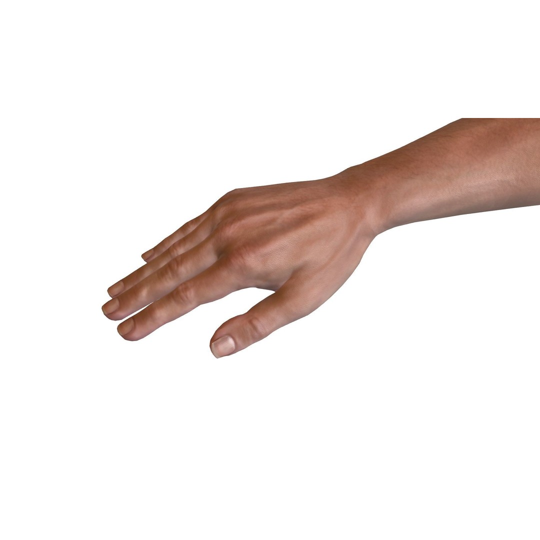 Male Hand 3D Model – Rigged Low Poly Asset for Animation, FBX - View 6