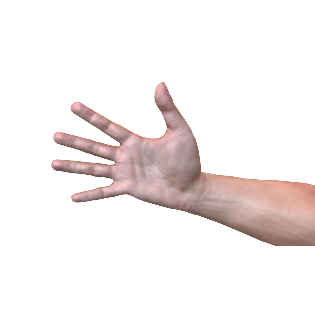 Male Hand 3D Model – Rigged Low Poly Asset for Animation, FBX - View 9