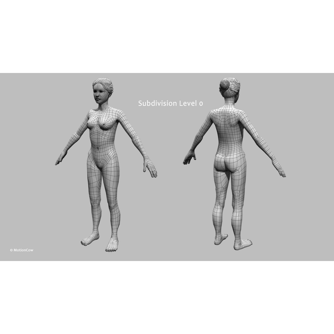 Ultimate Female Anatomy 3D Model – Advanced Rigged Character with 50+ Animations - View 76