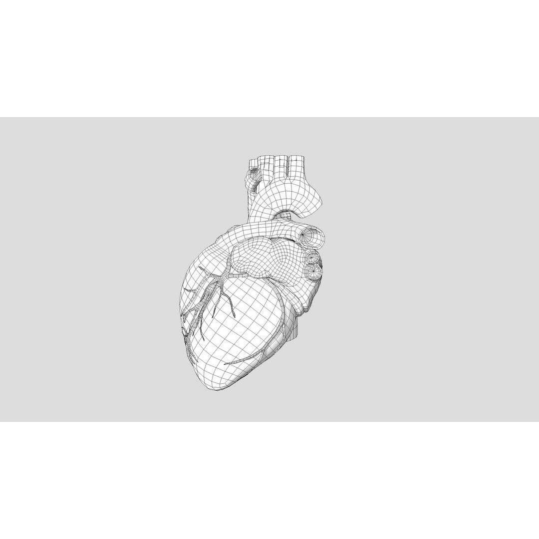 Human Heart 3D Model – Low-Poly Anatomy Asset, FBX, PBR Textures