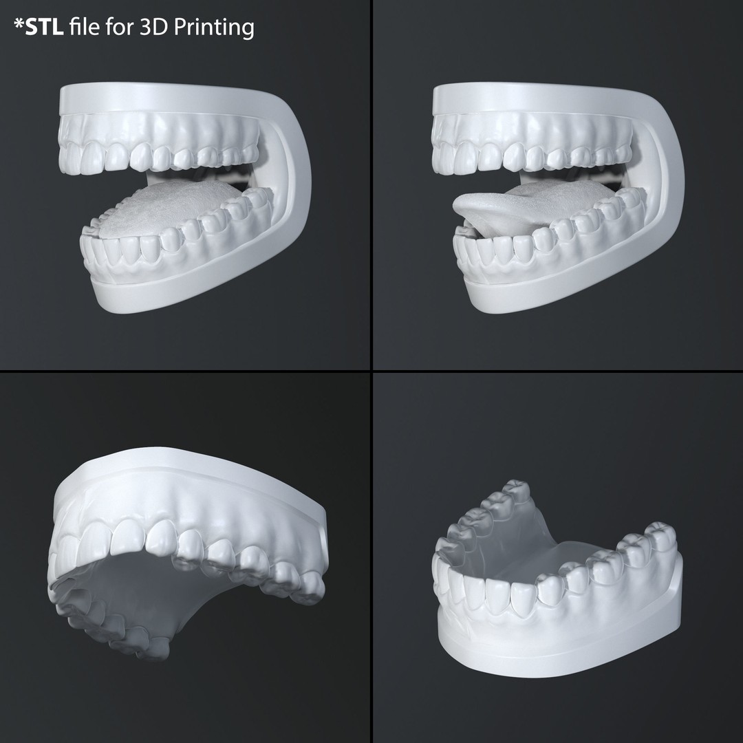 Teeth and Tongue 3D Model – Low Poly Game Asset, PBR Textures, FBX, OBJ