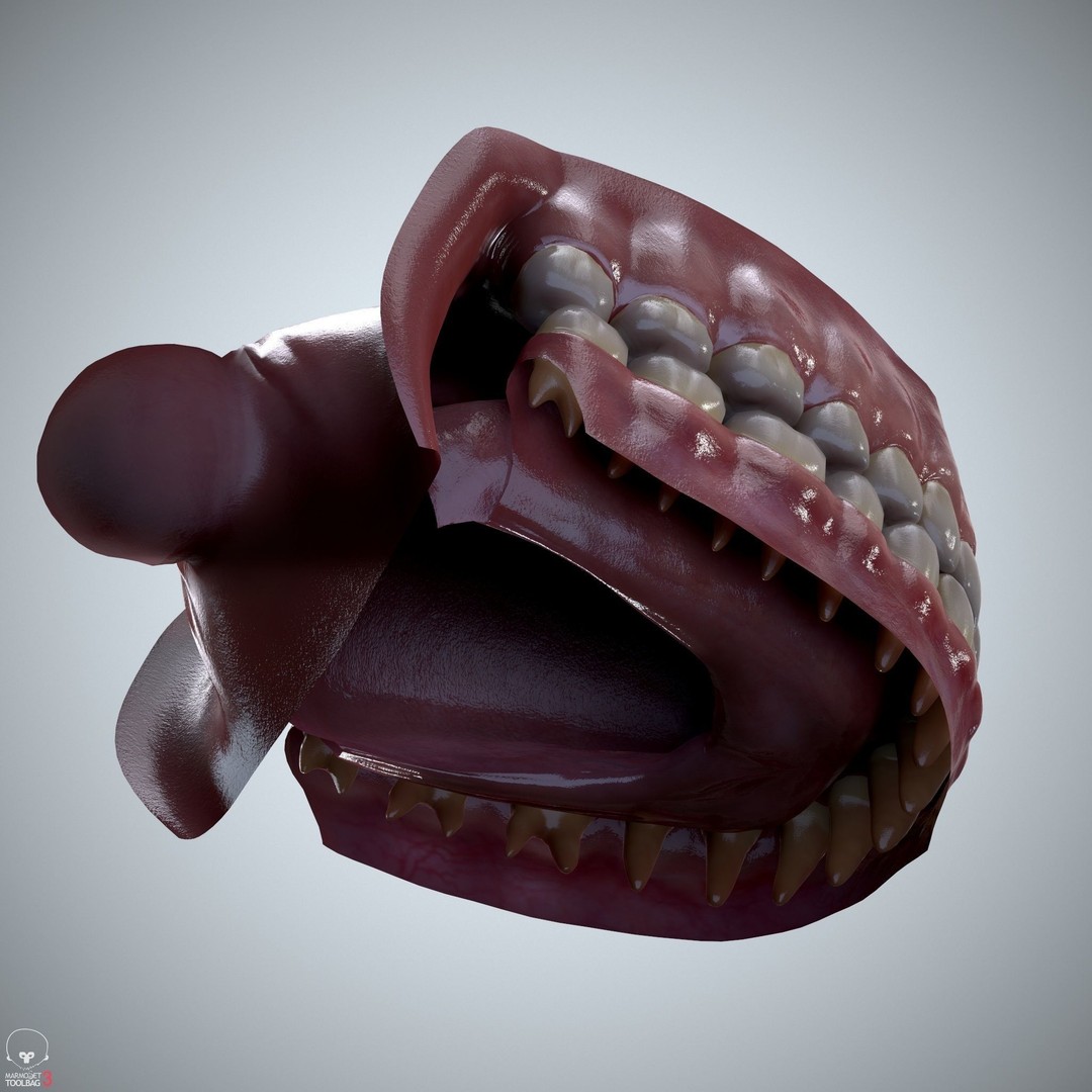 Teeth and Tongue 3D Model – Low Poly Game Asset, PBR Textures, FBX, OBJ - View 22
