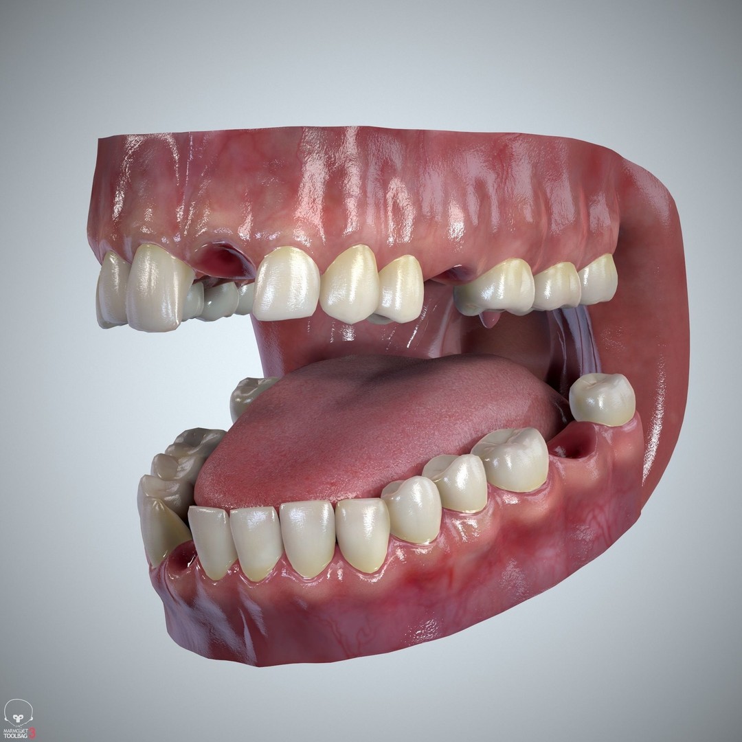 Teeth and Tongue 3D Model – Low Poly Game Asset, PBR Textures, FBX, OBJ - View 27