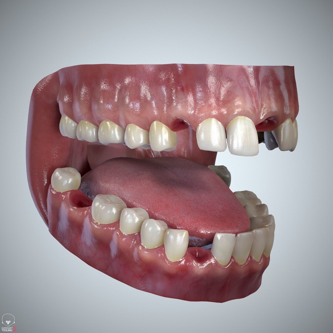 Teeth and Tongue 3D Model – Low Poly Game Asset, PBR Textures, FBX, OBJ - View 28