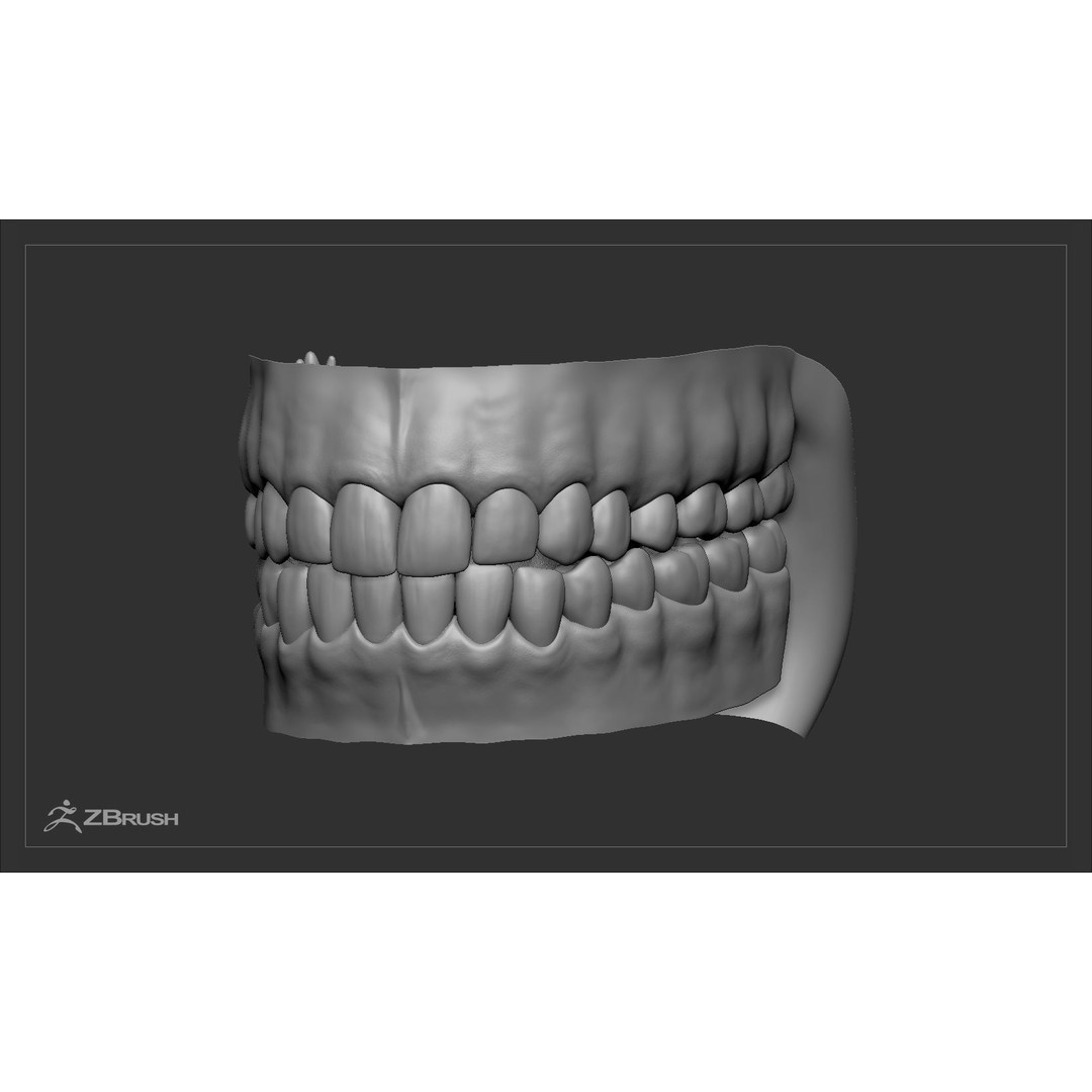 Teeth and Tongue 3D Model – Low Poly Game Asset, PBR Textures, FBX, OBJ - View 34
