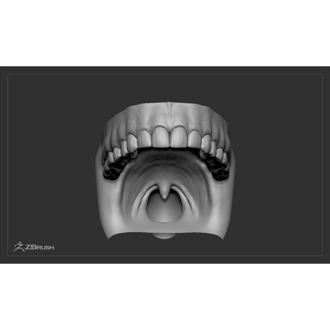 Teeth and Tongue 3D Model – Low Poly Game Asset, PBR Textures, FBX, OBJ - View 36