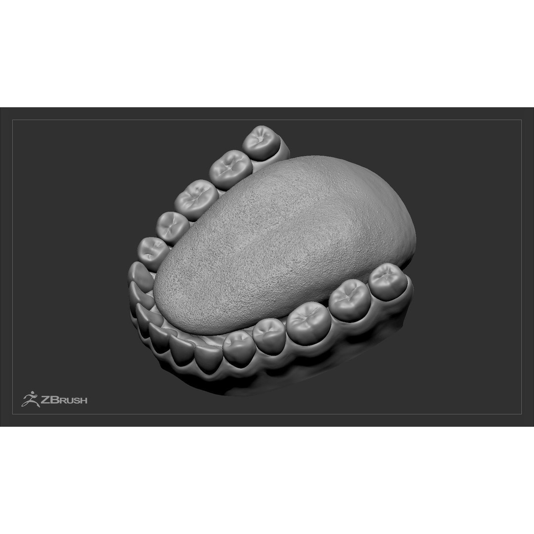 Teeth and Tongue 3D Model – Low Poly Game Asset, PBR Textures, FBX, OBJ - View 37