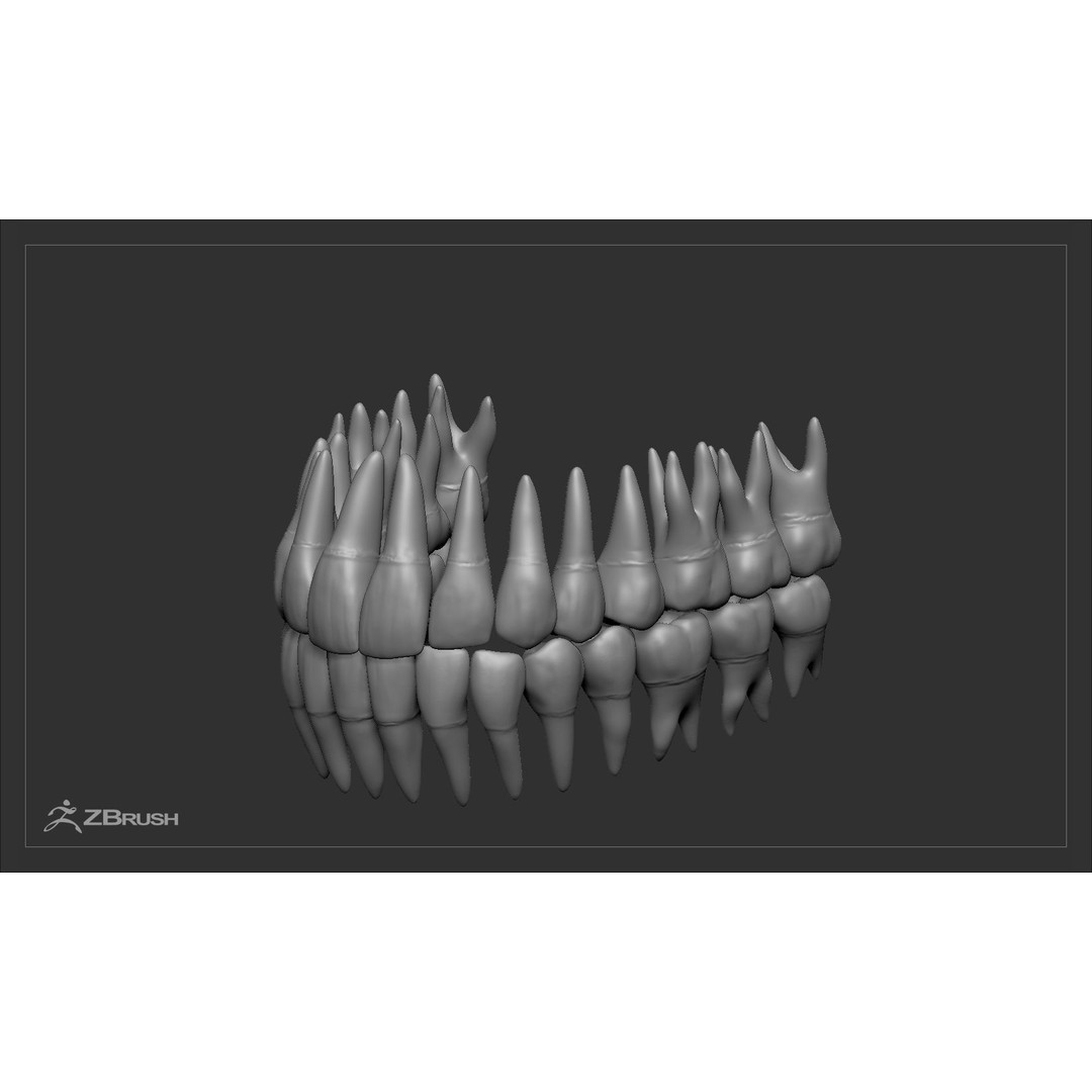 Teeth and Tongue 3D Model – Low Poly Game Asset, PBR Textures, FBX, OBJ - View 38