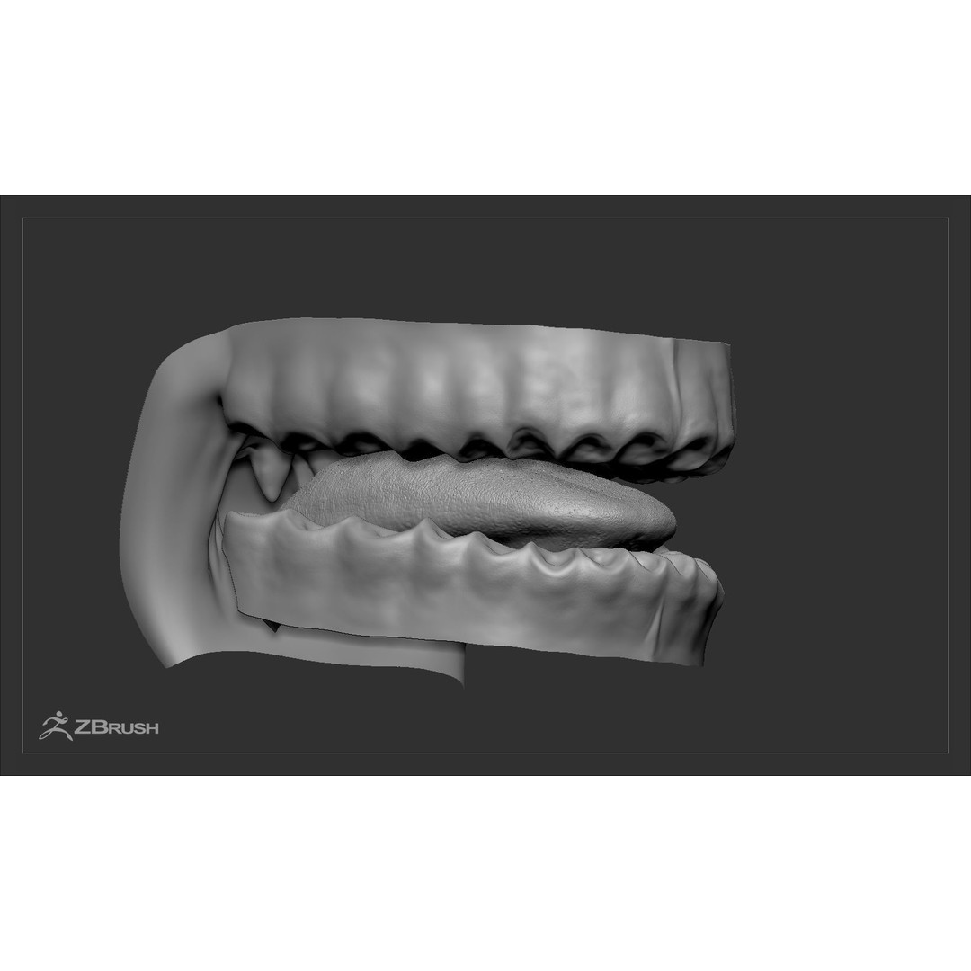 Teeth and Tongue 3D Model – Low Poly Game Asset, PBR Textures, FBX, OBJ - View 39