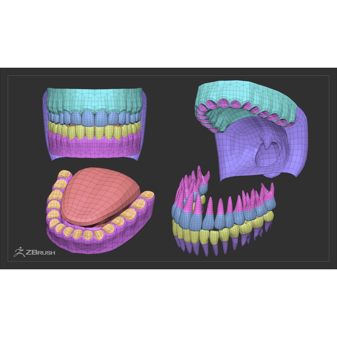 Teeth and Tongue 3D Model – Low Poly Game Asset, PBR Textures, FBX, OBJ - View 40