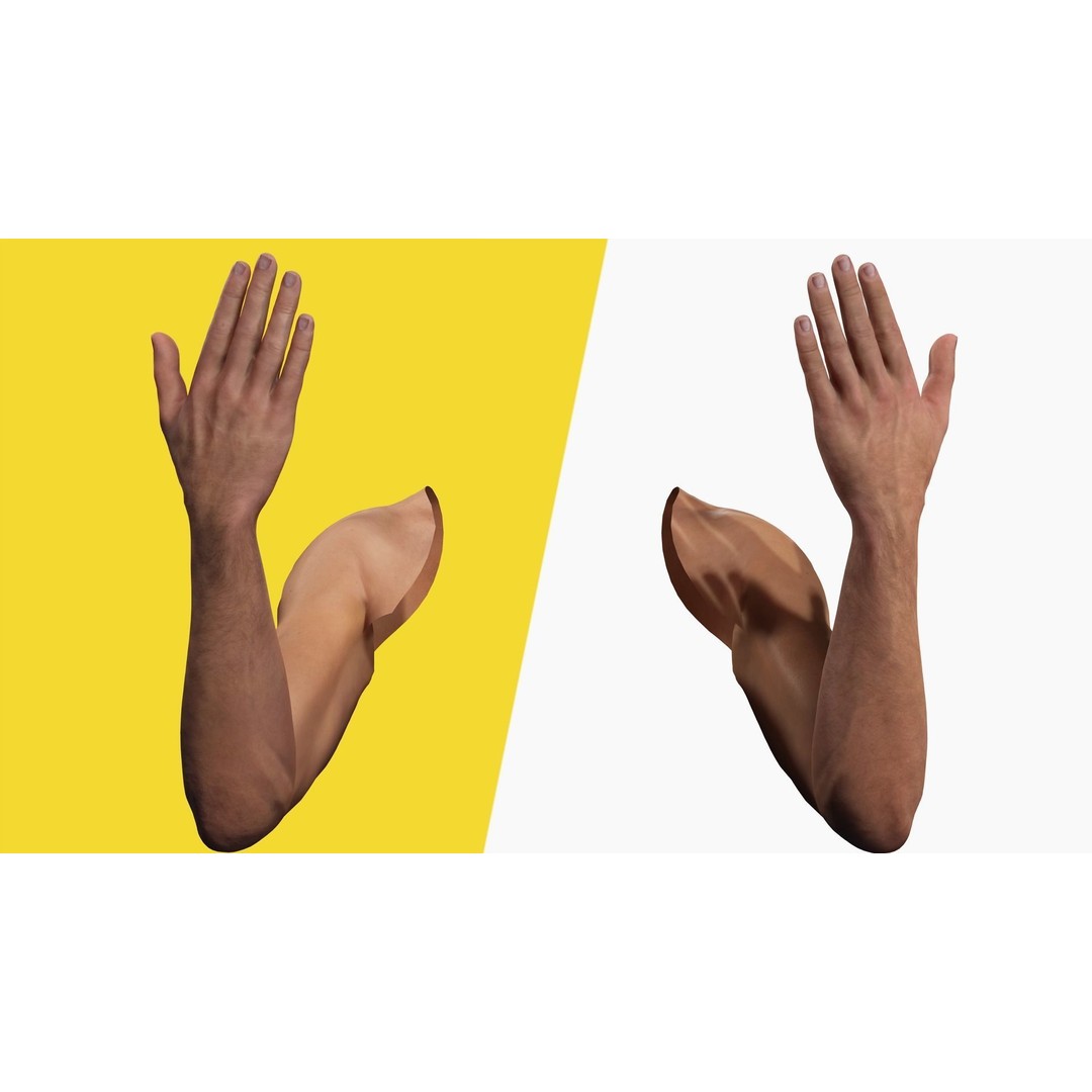 Rigged VR Hands 3D Model – Low Poly Character with PBR Textures, FBX - View 12