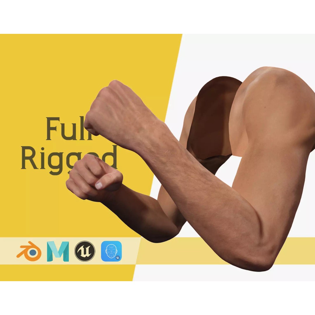 Rigged VR Hands 3D Model – Low Poly Character with PBR Textures, FBX - View 2