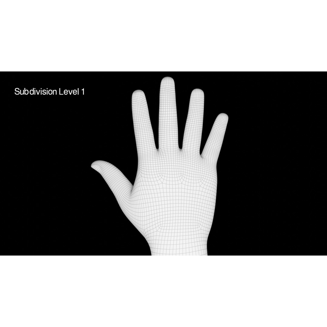 Right Hand 3D Model – Rigged Low-Poly Character Asset, FBX - View 16