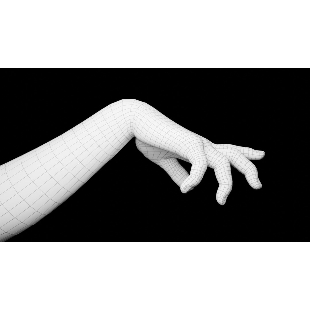 Right Hand 3D Model – Rigged Low-Poly Character Asset, FBX - View 18