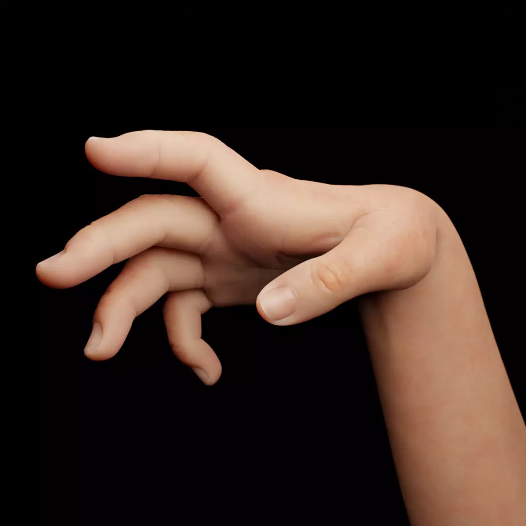 Right Hand 3D Model – Rigged Low-Poly Character Asset, FBX - View 2