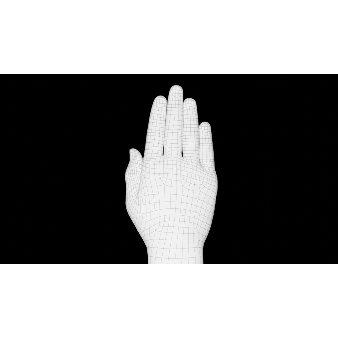 Right Hand 3D Model – Rigged Low-Poly Character Asset, FBX - View 20