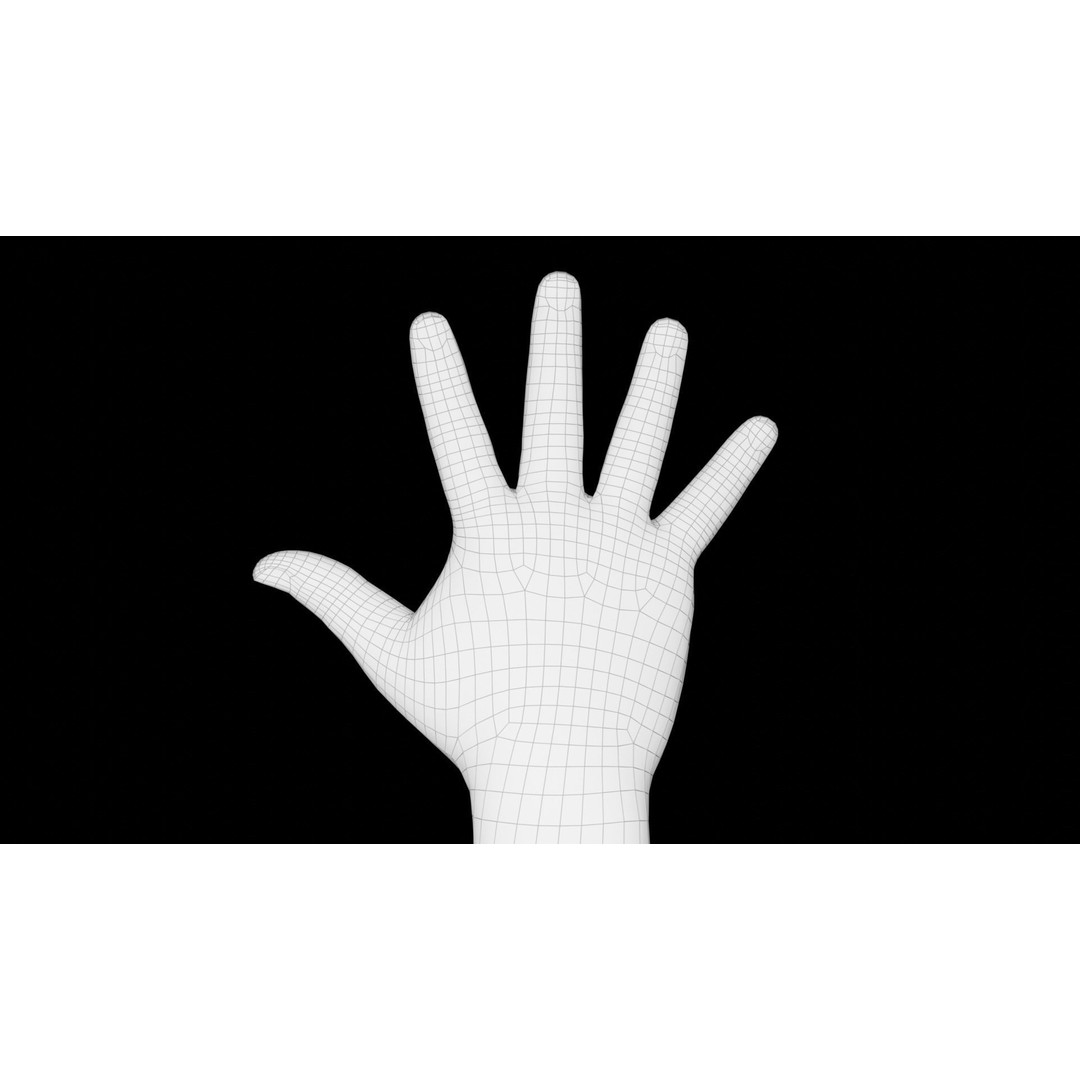 Right Hand 3D Model – Rigged Low-Poly Character Asset, FBX - View 21