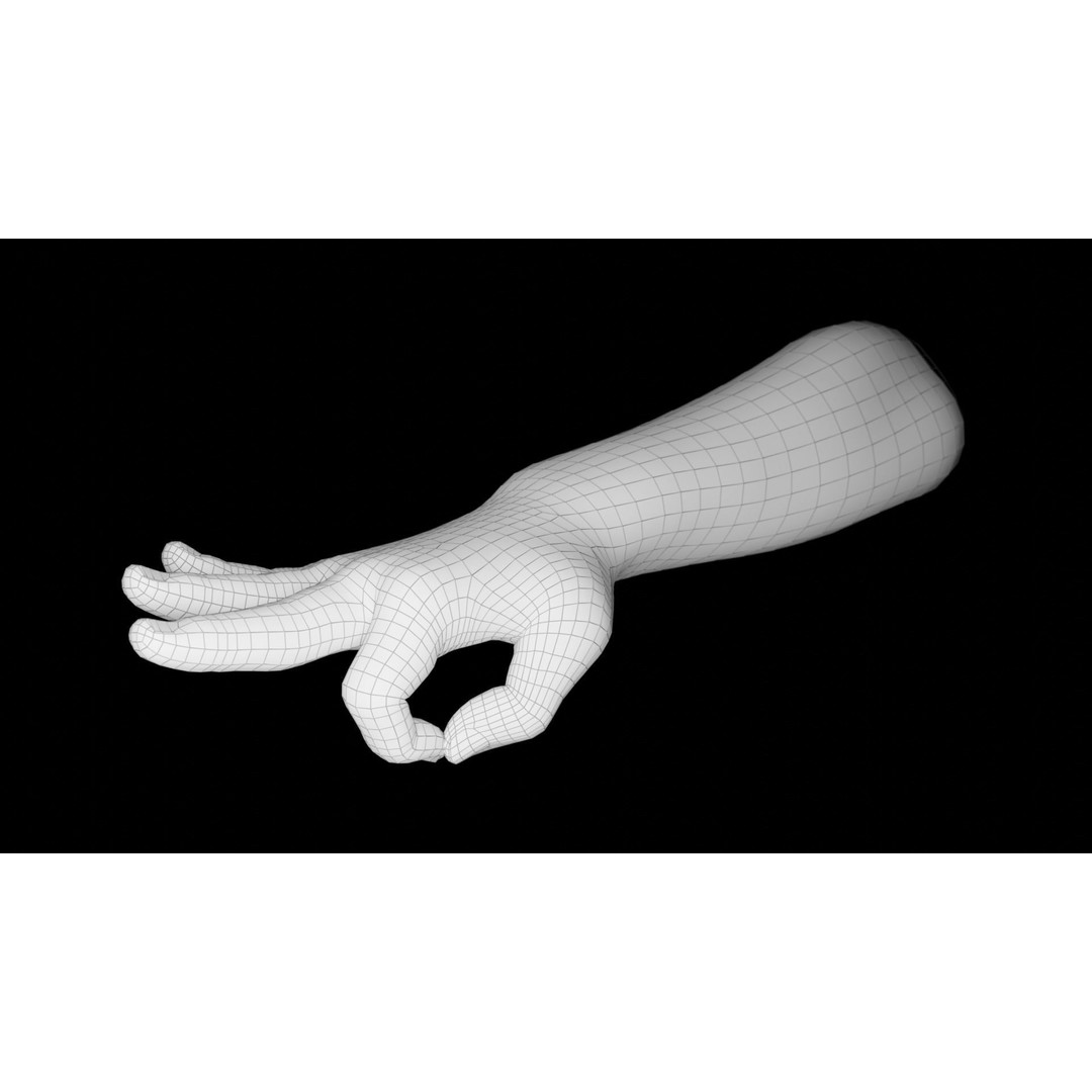 Right Hand 3D Model – Rigged Low-Poly Character Asset, FBX - View 22