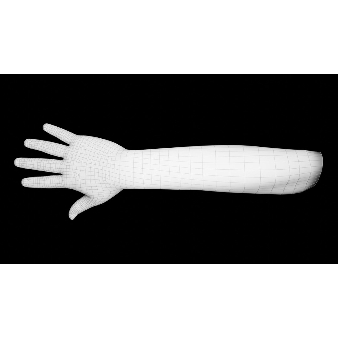 Right Hand 3D Model – Rigged Low-Poly Character Asset, FBX - View 23