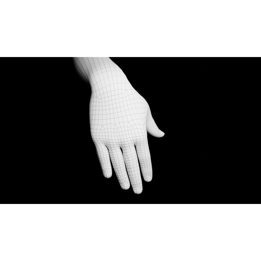 Right Hand 3D Model – Rigged Low-Poly Character Asset, FBX - View 25