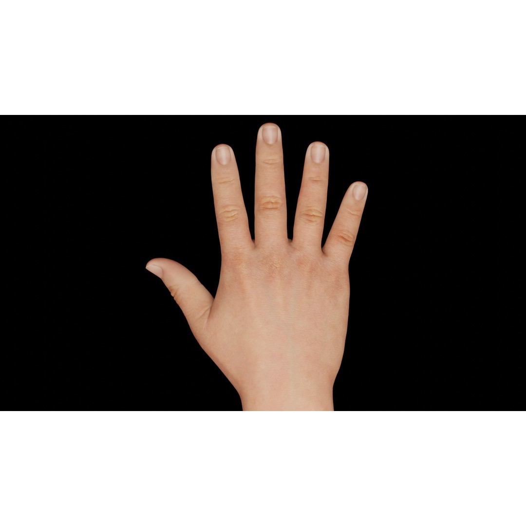 Right Hand 3D Model – Rigged Low-Poly Character Asset, FBX - View 4