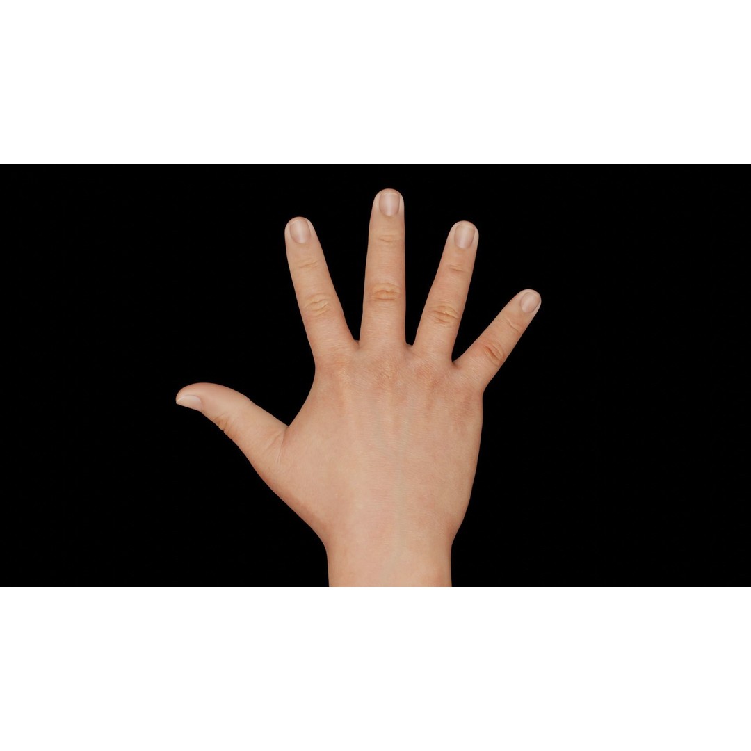 Right Hand 3D Model – Rigged Low-Poly Character Asset, FBX - View 8