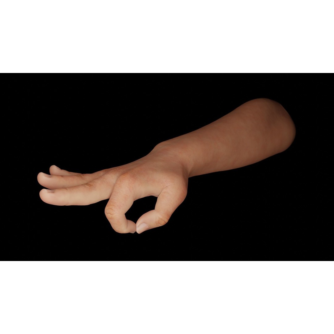 Right Hand 3D Model – Rigged Low-Poly Character Asset, FBX - View 9