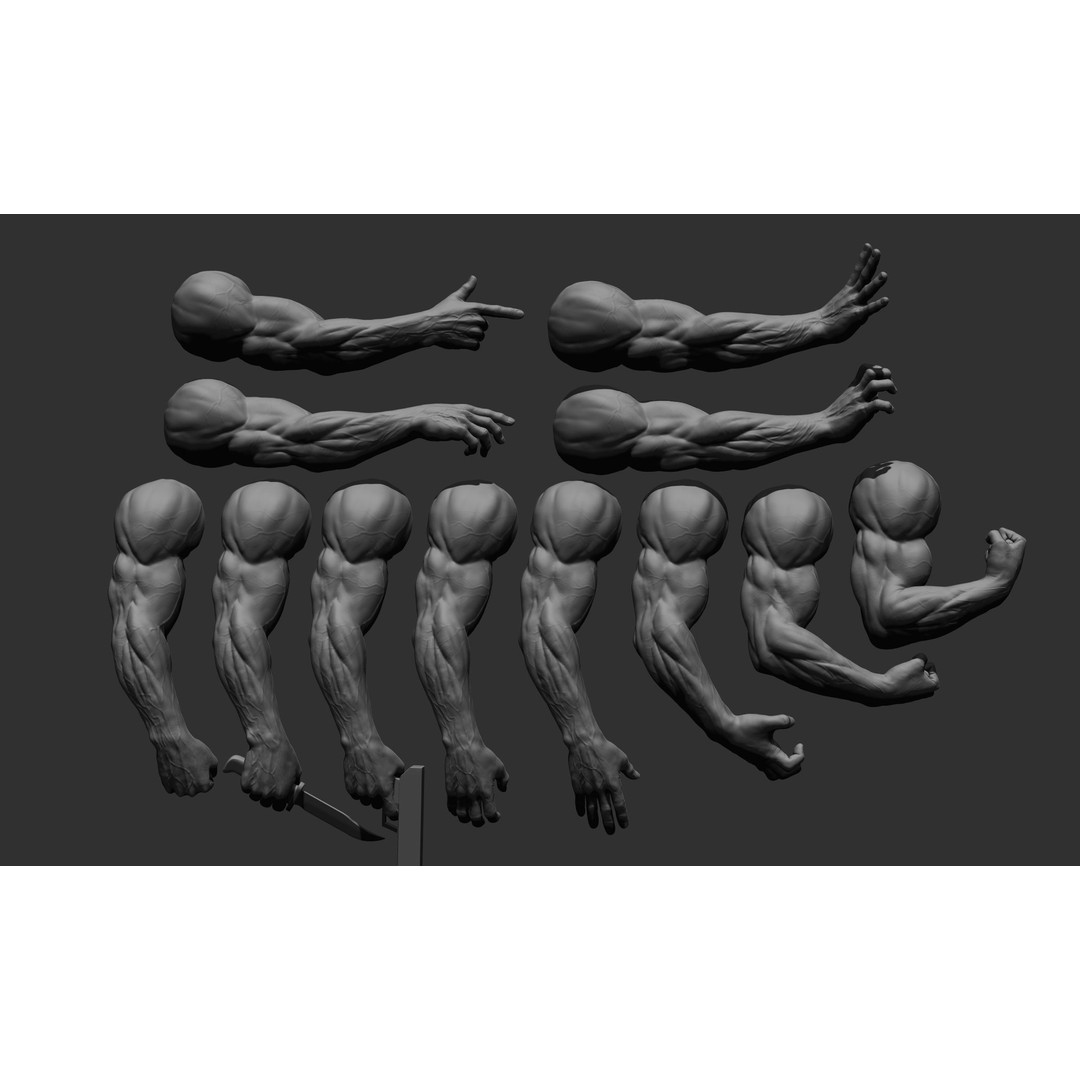 Realistic Male Arms 3D Model – High Poly ZBrush Anatomy, FBX, OBJ - View 13
