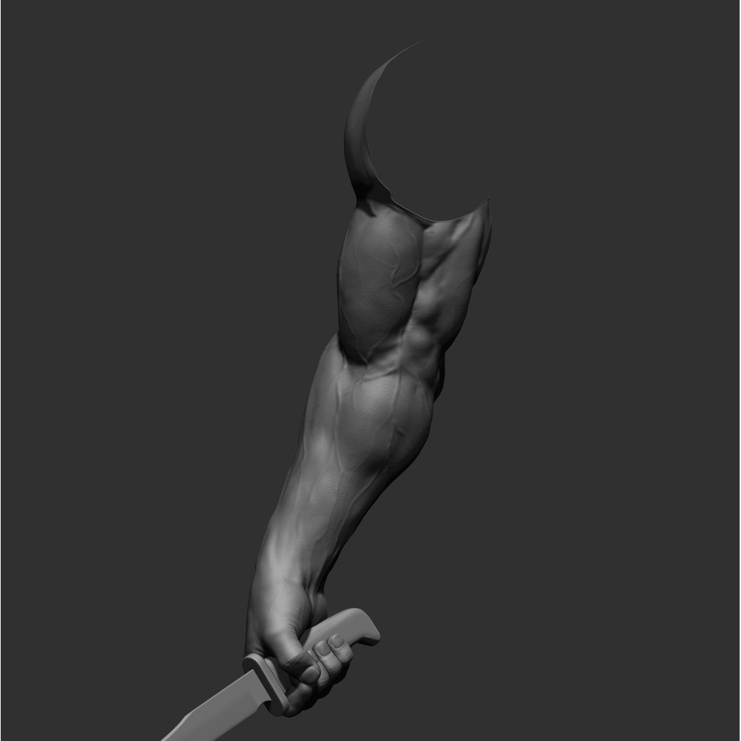 Realistic Male Arms 3D Model – High Poly ZBrush Anatomy, FBX, OBJ - View 19