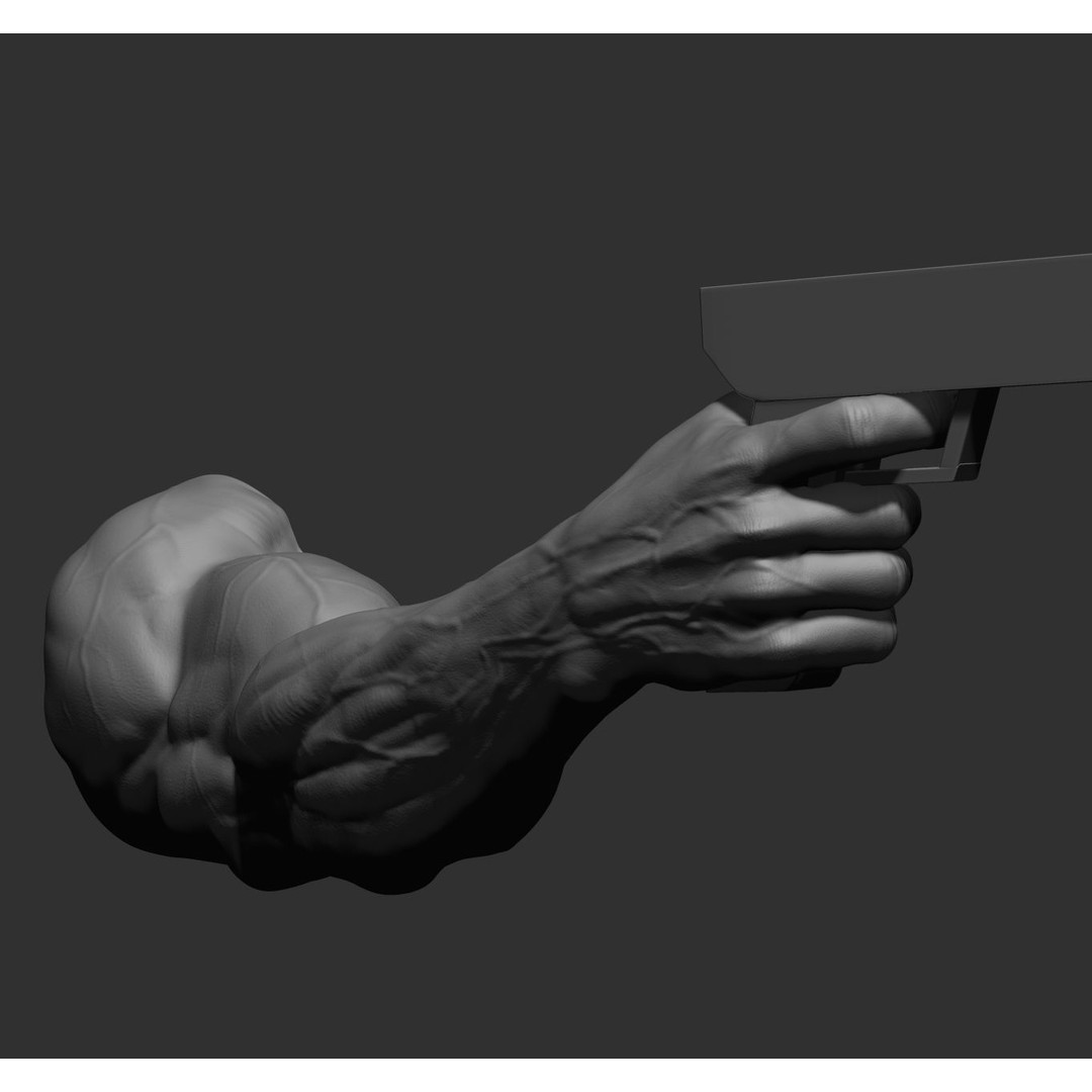 Realistic Male Arms 3D Model – High Poly ZBrush Anatomy, FBX, OBJ - View 27