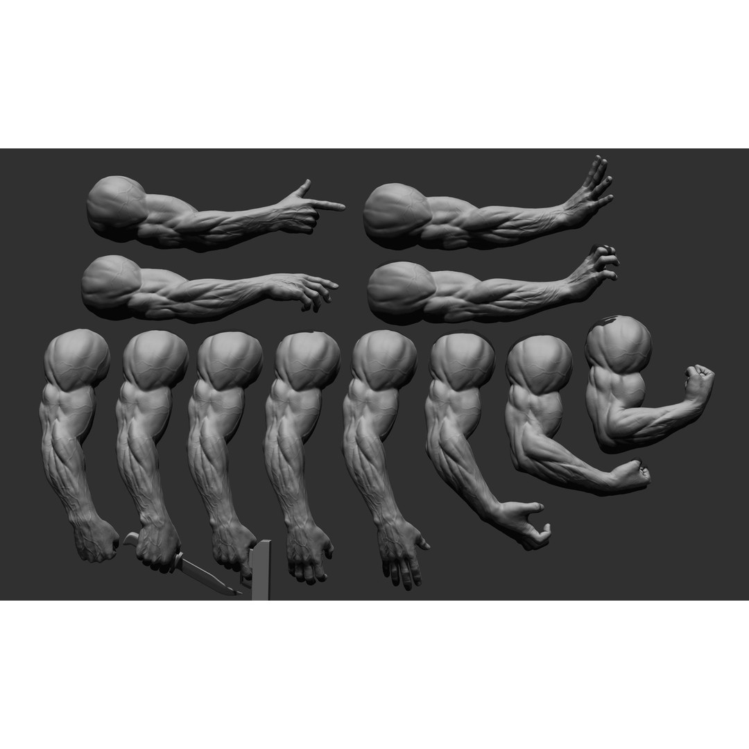 Realistic Male Arms 3D Model – High Poly ZBrush Anatomy, FBX, OBJ - View 3