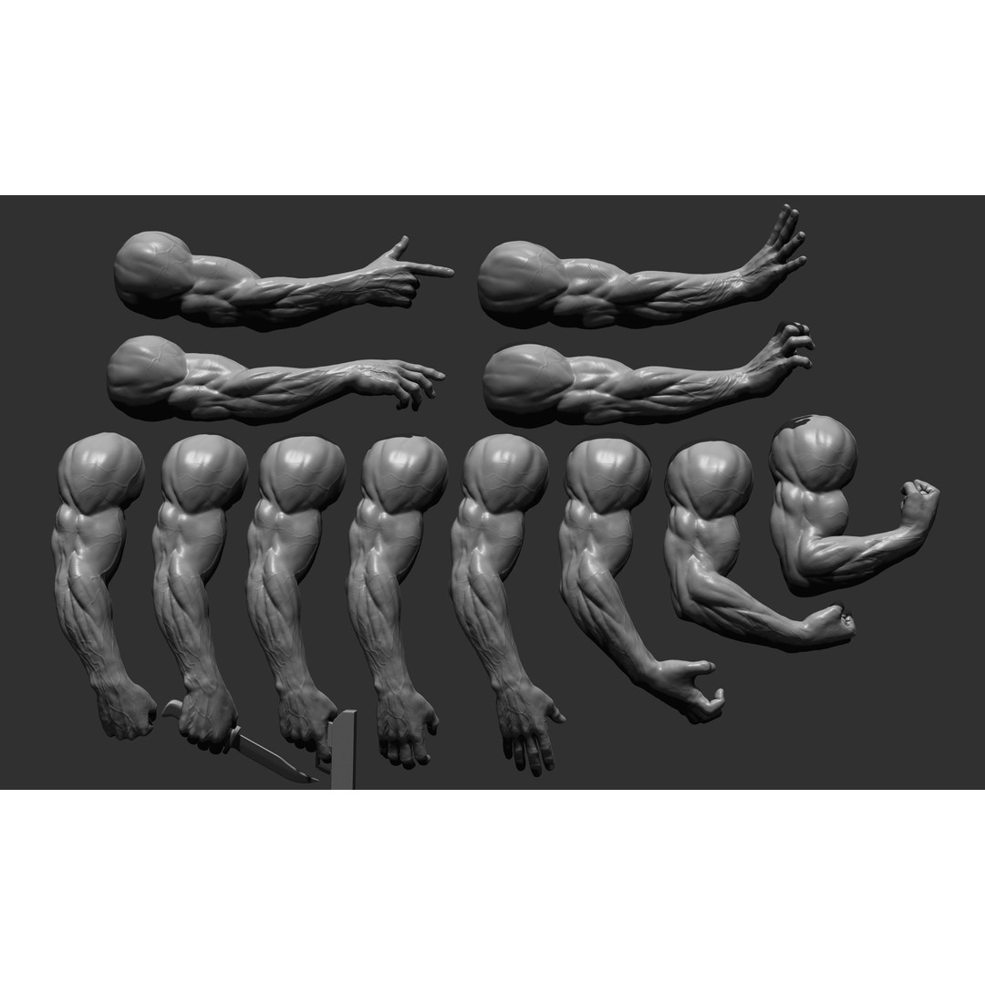 Realistic Male Arms 3D Model – High Poly ZBrush Anatomy, FBX, OBJ - View 4