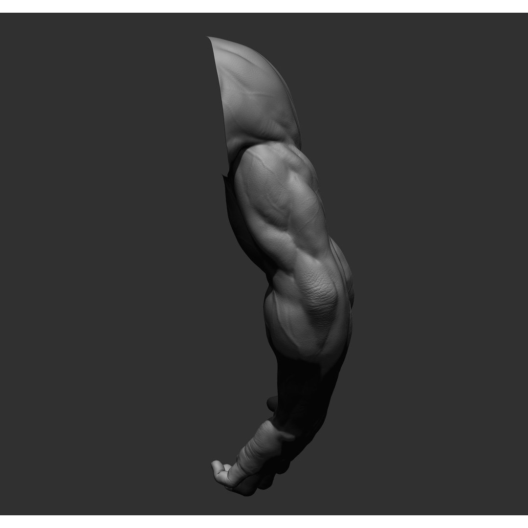 Realistic Male Arms 3D Model – High Poly ZBrush Anatomy, FBX, OBJ - View 45