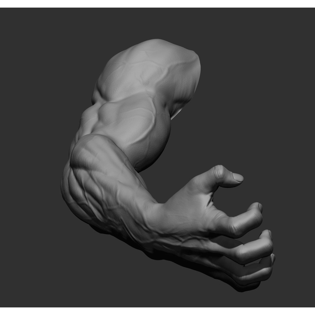 Realistic Male Arms 3D Model – High Poly ZBrush Anatomy, FBX, OBJ - View 47