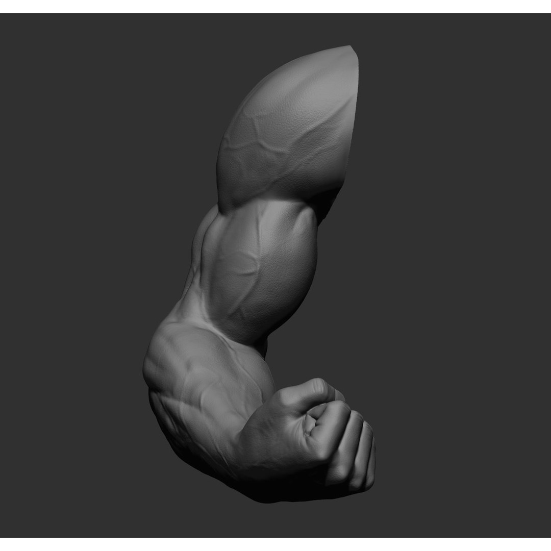 Realistic Male Arms 3D Model – High Poly ZBrush Anatomy, FBX, OBJ - View 49