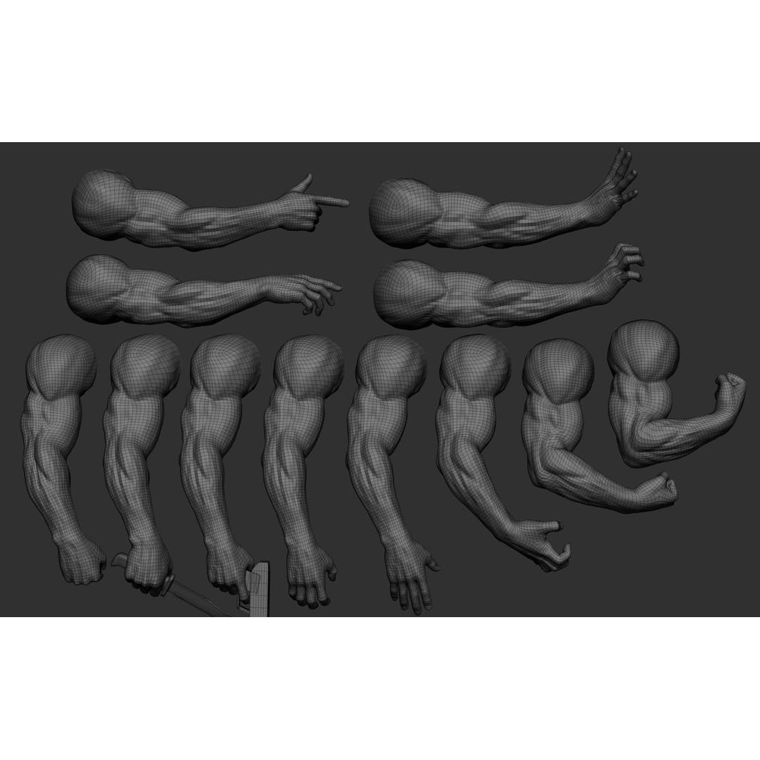 Realistic Male Arms 3D Model – High Poly ZBrush Anatomy, FBX, OBJ - View 5