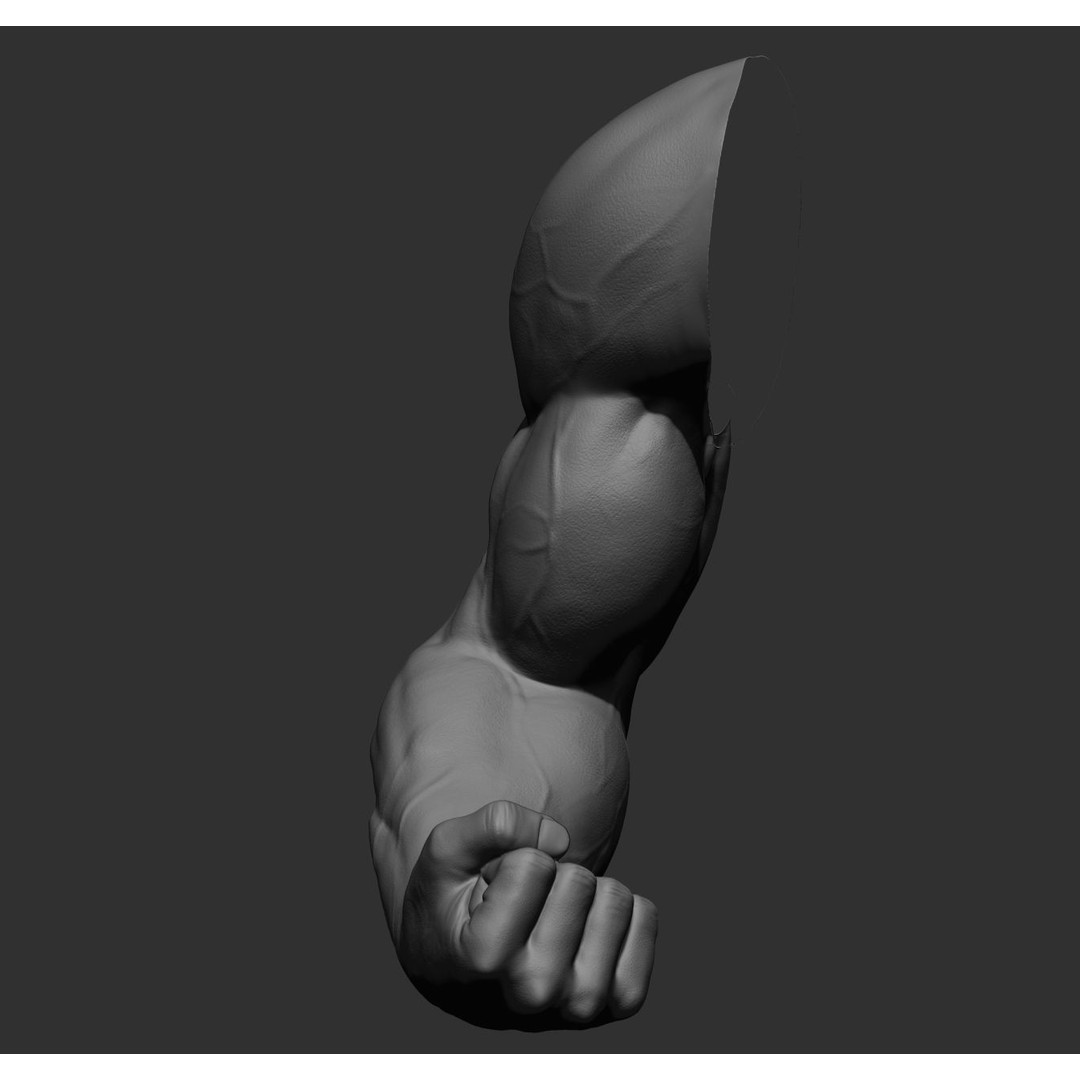 Realistic Male Arms 3D Model – High Poly ZBrush Anatomy, FBX, OBJ - View 50