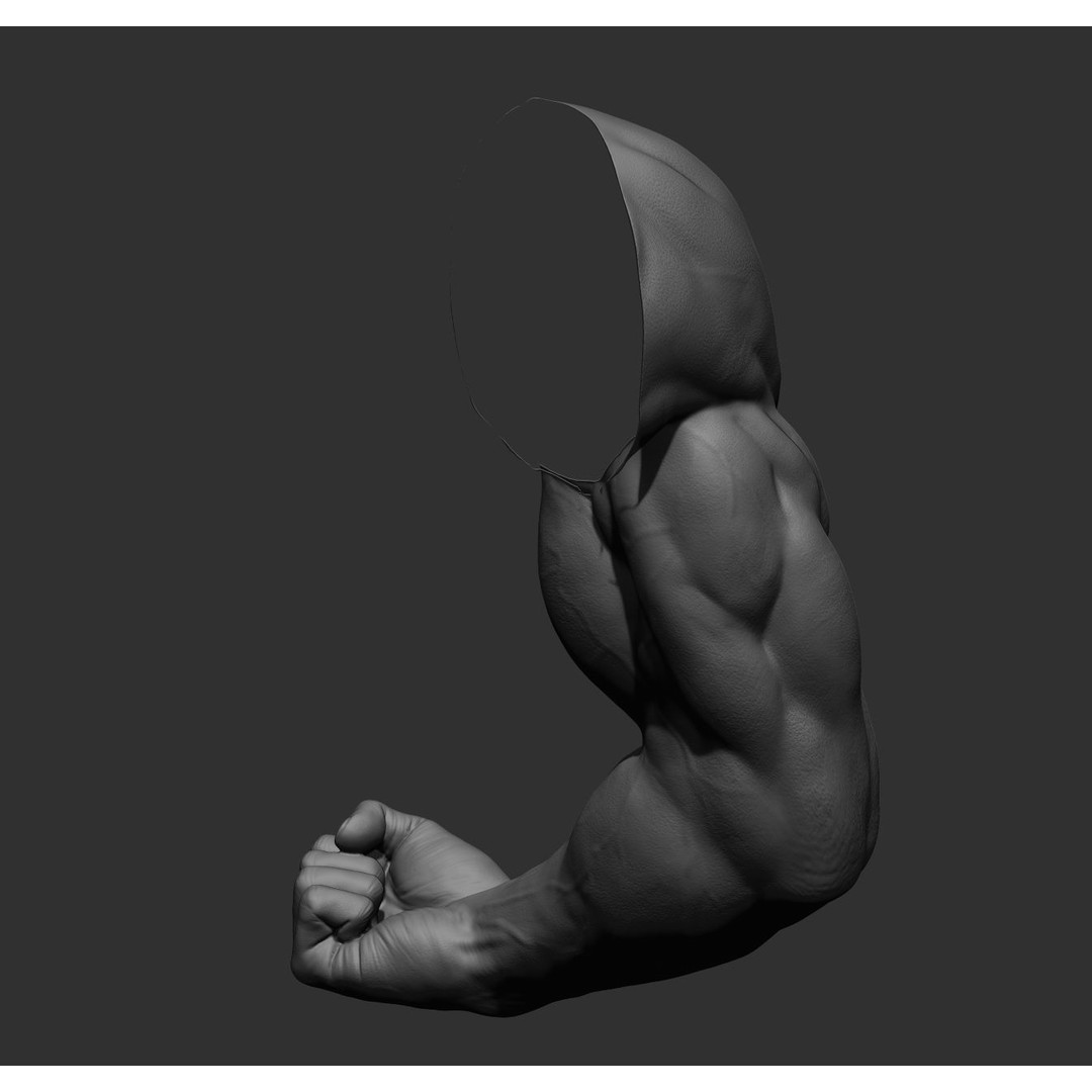 Realistic Male Arms 3D Model – High Poly ZBrush Anatomy, FBX, OBJ - View 51