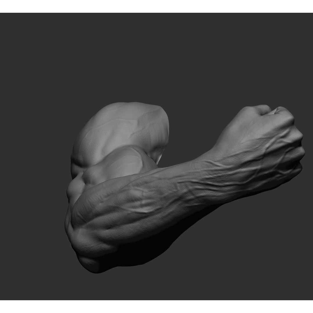 Realistic Male Arms 3D Model – High Poly ZBrush Anatomy, FBX, OBJ - View 53