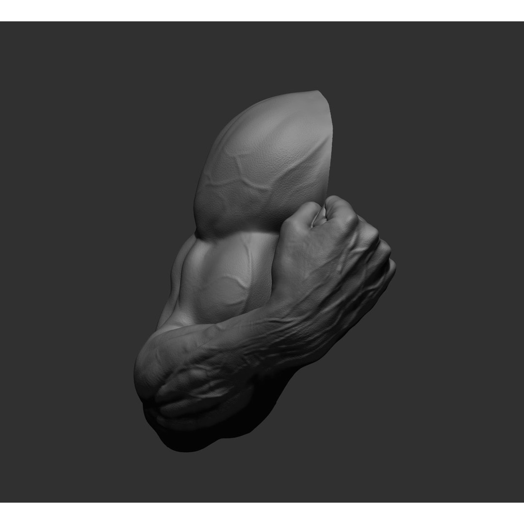 Realistic Male Arms 3D Model – High Poly ZBrush Anatomy, FBX, OBJ - View 55