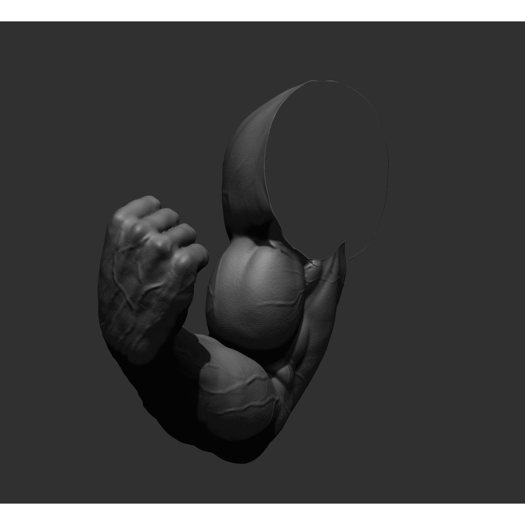 Realistic Male Arms 3D Model – High Poly ZBrush Anatomy, FBX, OBJ - View 56